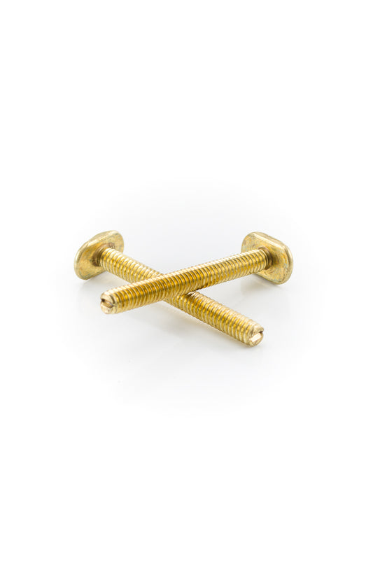 Pasco 110 1/4X2-1/4  BR CLOSET BOLT