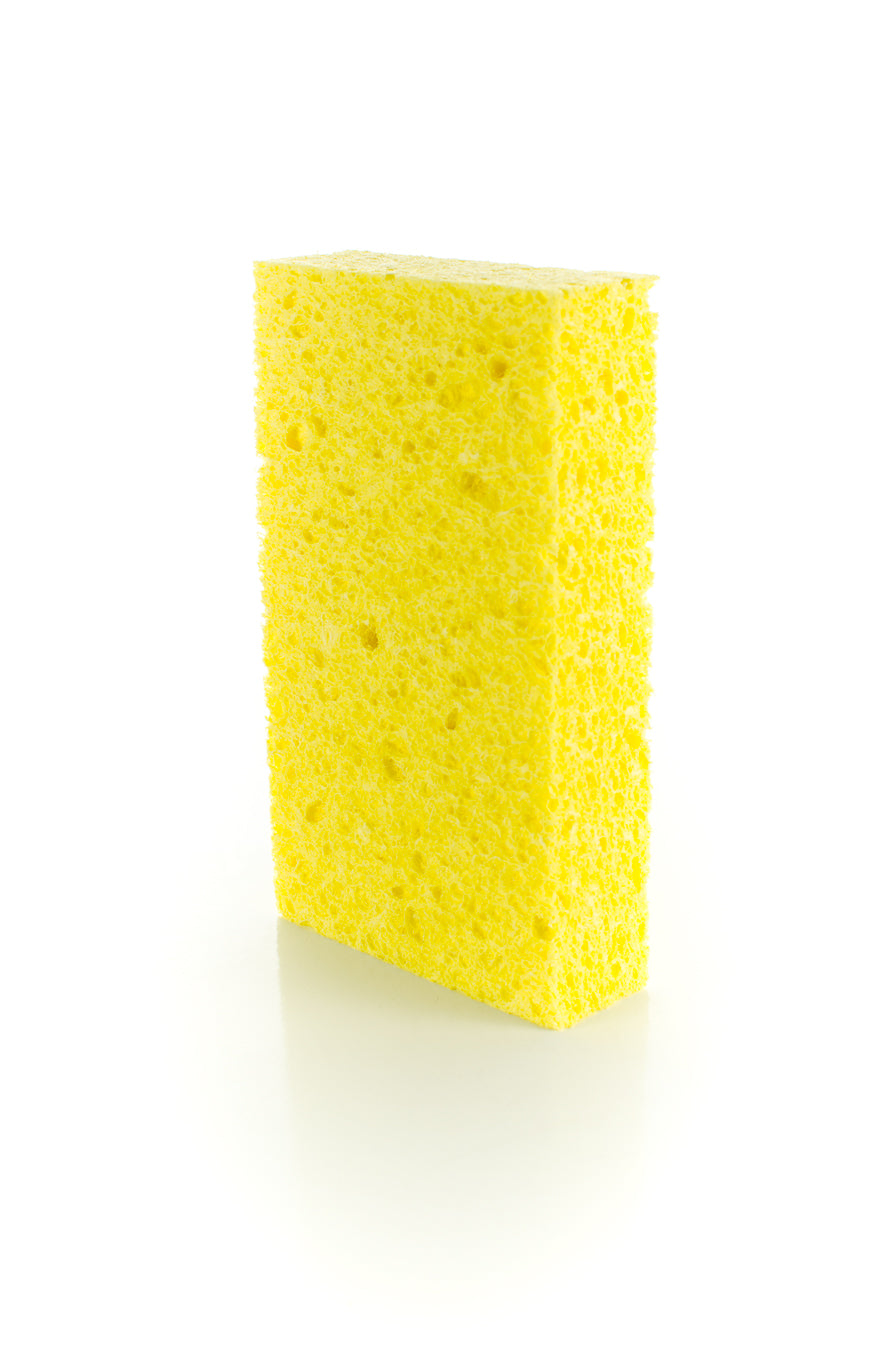 Pasco 5185 LARGE SPONGE